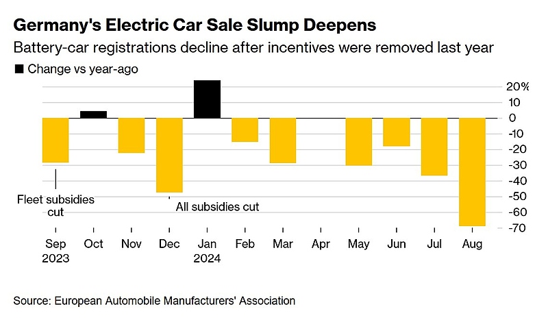 Файл:IMG 20240919 121152 968.jpg