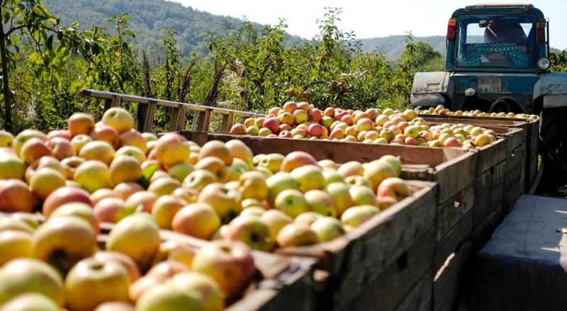 Файл:Screваіаівenshot 3.png