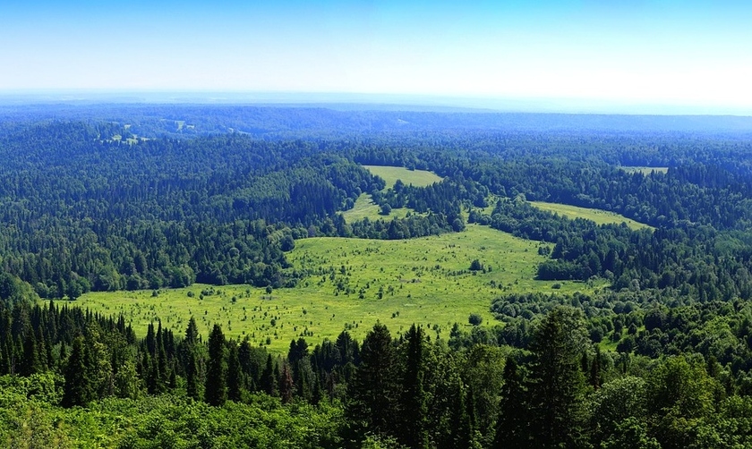 Пермский край