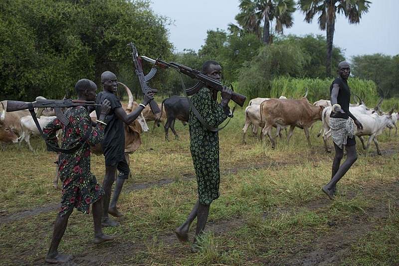 Файл:IMG 20221119 053215 778.jpg