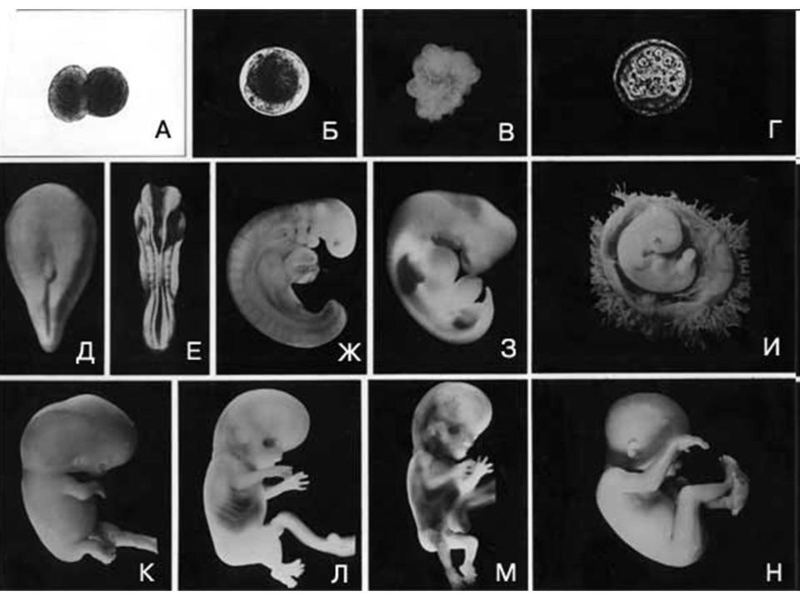 Файл:IMG 20211018 044907 994.jpg