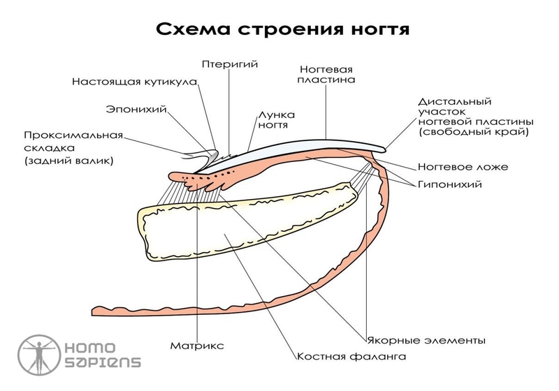 Файл:IMG 20220213 221800 941.jpg