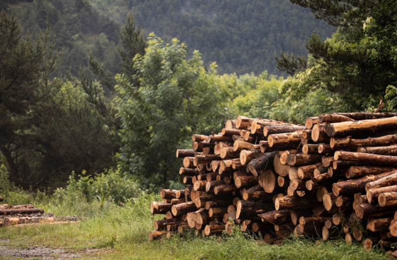 Файл:Screenshot 1324.png