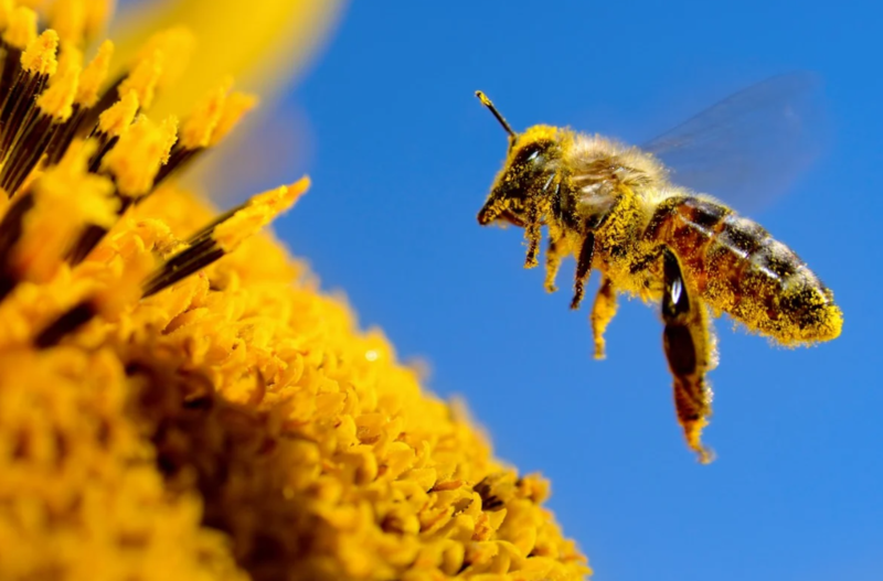 Файл:2025-07-18 18-17-13.png